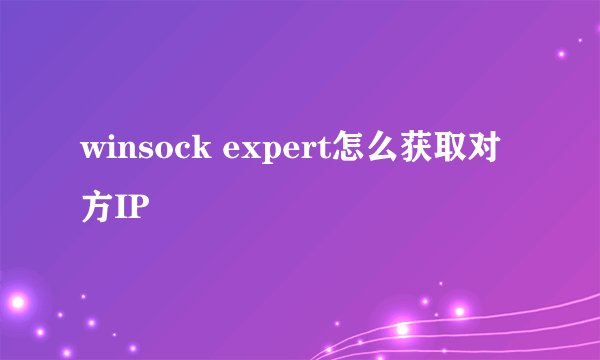 winsock expert怎么获取对方IP