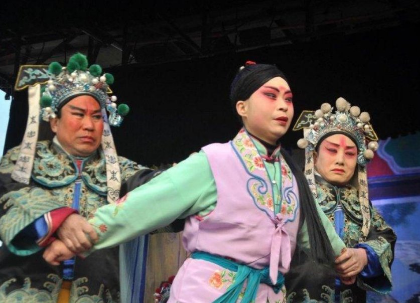 河南豫剧和曲剧的区别是什么？