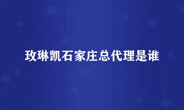 玫琳凯石家庄总代理是谁