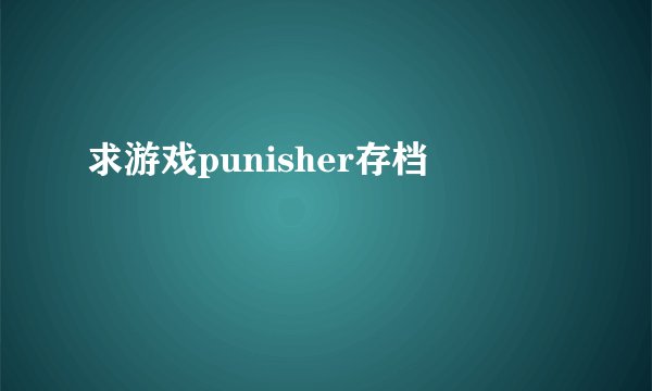 求游戏punisher存档