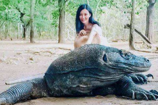 科莫多巨蜥凶狠残暴，甚至会吃掉同类的幼崽，它的天敌是谁？