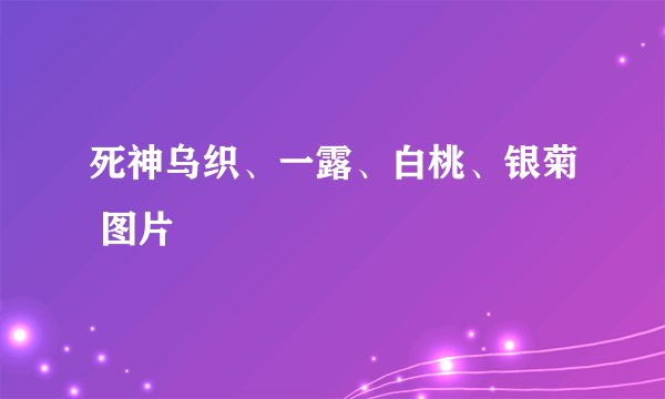死神乌织、一露、白桃、银菊 图片