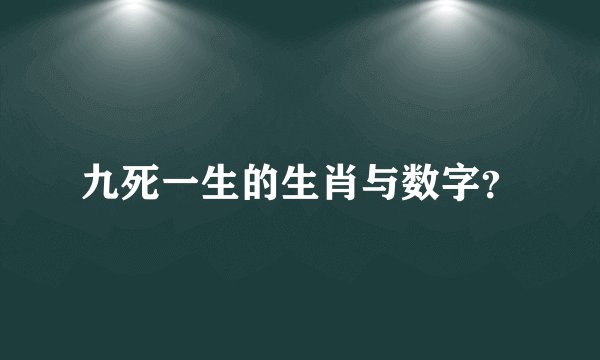 九死一生的生肖与数字？