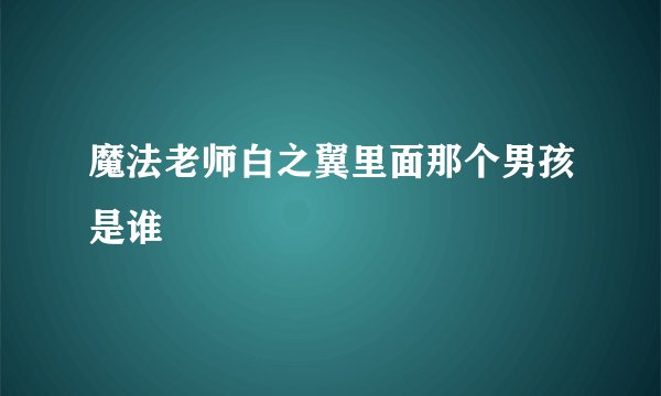魔法老师白之翼里面那个男孩是谁