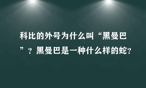 科比的外号为什么叫“黑曼巴”？黑曼巴是一种什么样的蛇？