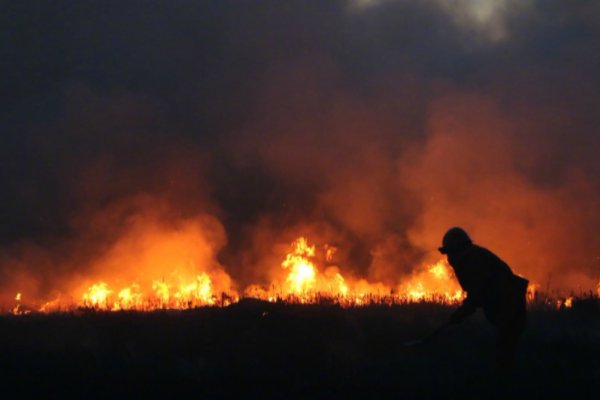 内蒙古成功堵截蒙古国入境草原火灾,具体采取了哪些措施?