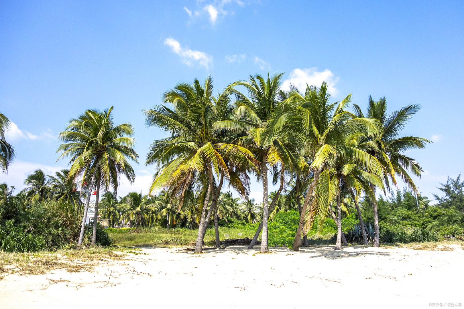 警方通报三亚一酒店突发伤人事件,该起事件造成了多大的伤亡情况?