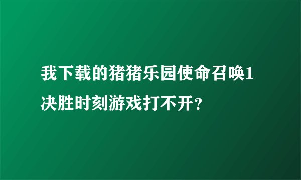 我下载的猪猪乐园使命召唤1决胜时刻游戏打不开？