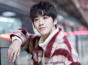 何洛洛为违反交通法规道歉,到底是怎么回事?