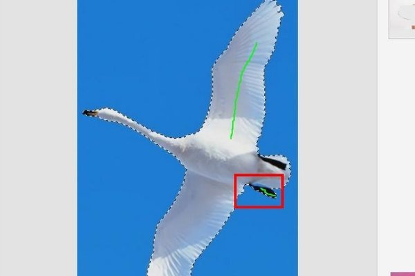 可以让照片变色的软件是什么?