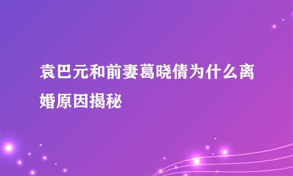 袁巴元和前妻葛晓倩为什么离婚原因揭秘