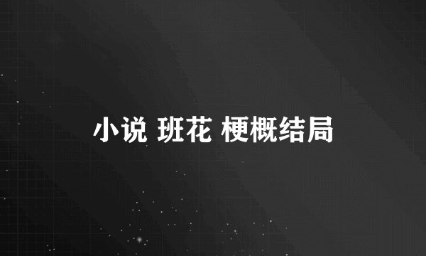 小说 班花 梗概结局