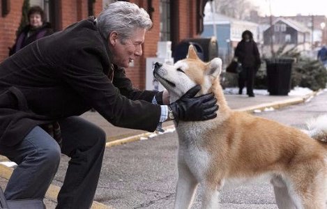 美版《忠犬八公的故事》和日版的《忠犬八公物语》有什么异曲同工之妙?很遗憾我那两部全都没看过。