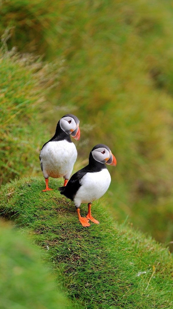 男朋友问我真的要嫁给他吗？