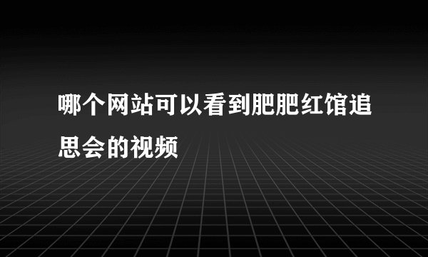 哪个网站可以看到肥肥红馆追思会的视频