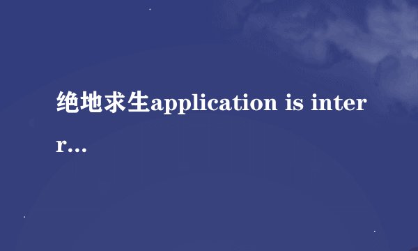 绝地求生application is interrupted by external software