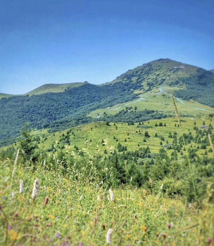 北京今日大部分地区有小雨,门头沟灵山已飘雪,这是一番怎样的景象?
