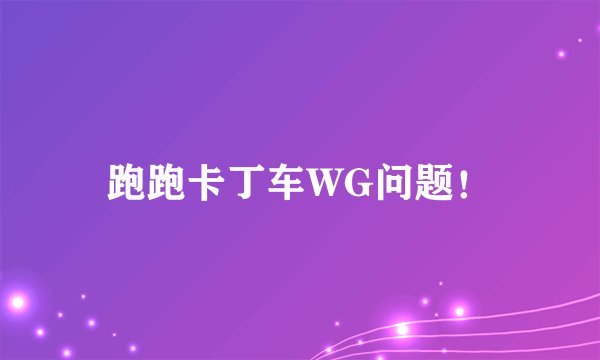 跑跑卡丁车WG问题！