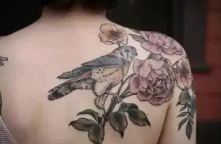 鸽子血和朱砂真的可以纹身吗？