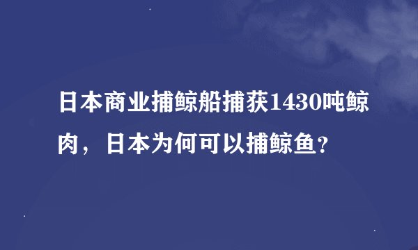 日本商业捕鲸船捕获1430吨鲸肉，日本为何可以捕鲸鱼？