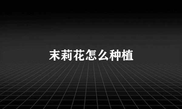 末莉花怎么种植