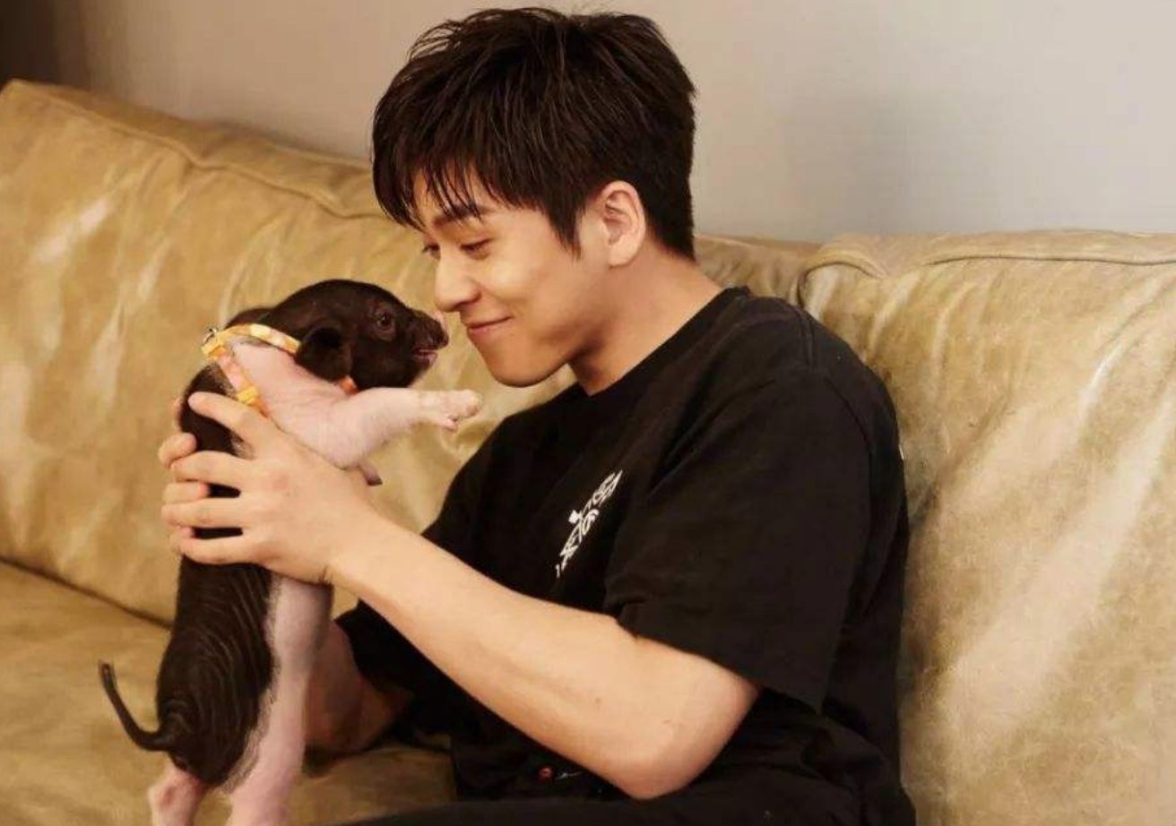 武艺新恋情曝光女朋友跟沈月完全不一样,他为什么以前会说理想型是沈月?