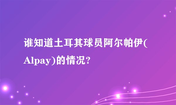 谁知道土耳其球员阿尔帕伊(Alpay)的情况?