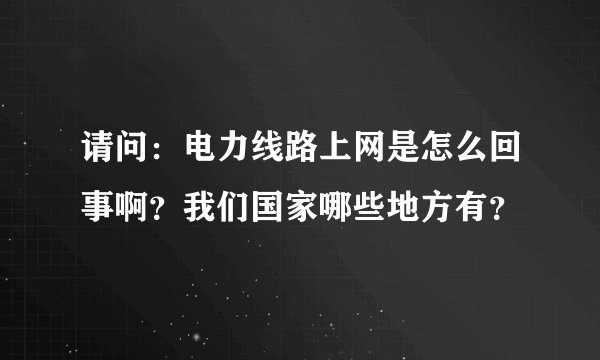 请问：电力线路上网是怎么回事啊？我们国家哪些地方有？