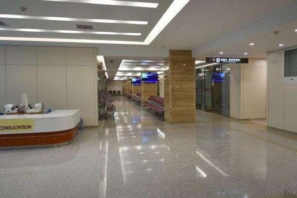 置换股骨头需要多少钱