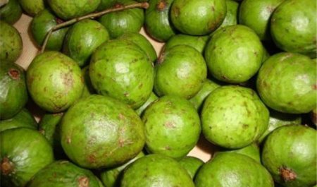 阳春的特产是什么？