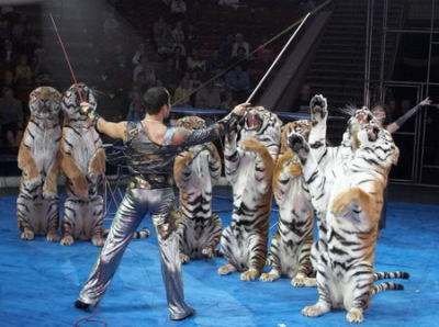 熟的两个多音字怎样组词