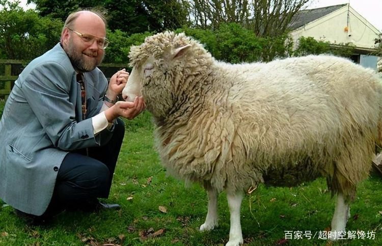 克隆计划全部都失败了是因为什么原因,现在放弃了吗?