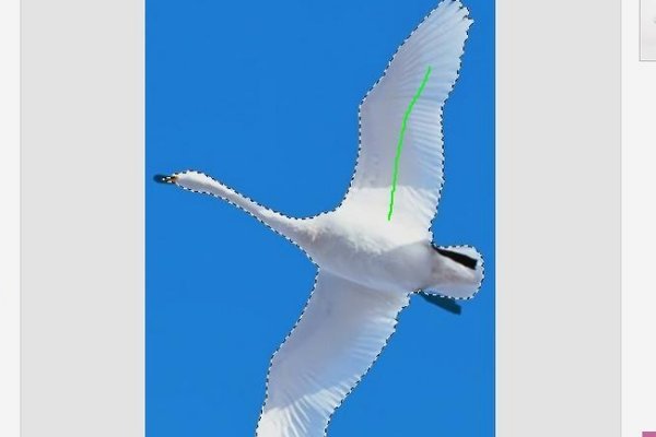 可以让照片变色的软件是什么?