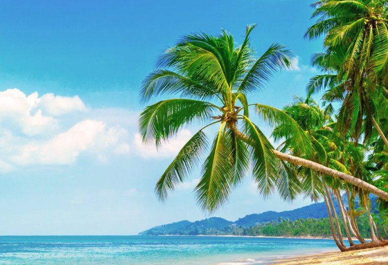 夏威夷大岛外海发生6.2级强震,哪些地区均有震感?