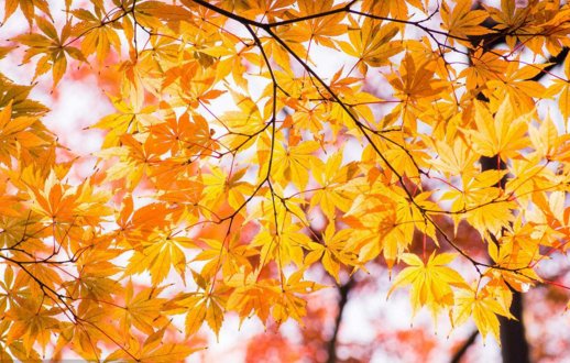 感悟人生哲理的文章