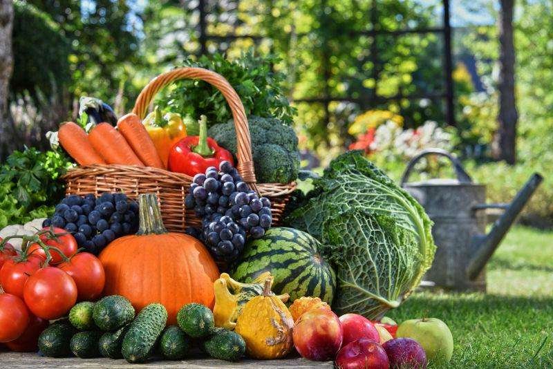 京东美团盒马等20余家电商公司被西安市约谈,这些电商公司存在哪些问题?