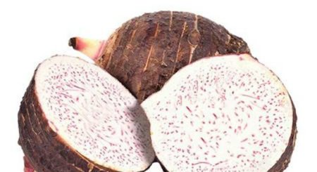 阳春的特产是什么？