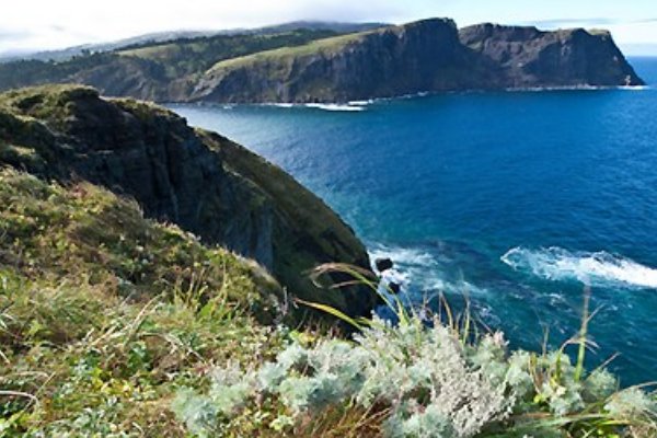 日本千岛群岛发生7.0级地震,此次地震对日本有什么影响?
