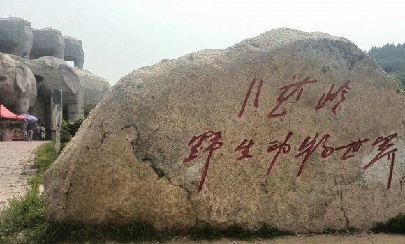 北京野生动物园和八达岭野生动物园哪个好，有何不同？