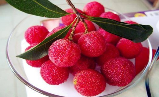 吃杨梅有什么好处呢?