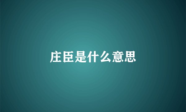 庄臣是什么意思