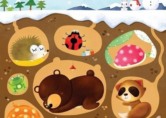 什么动物是冬眠的动物