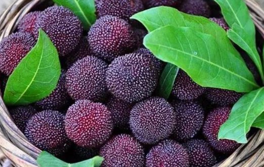 吃杨梅有什么好处呢?