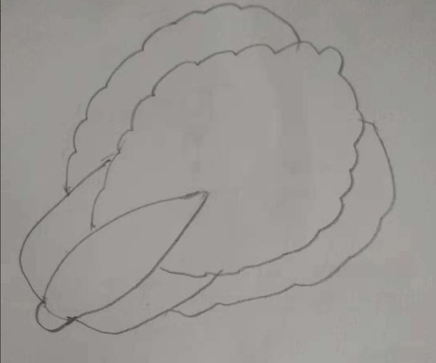 如何画蔬菜简笔画？