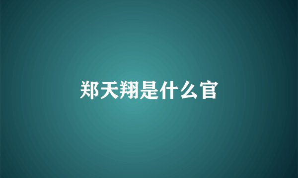 郑天翔是什么官
