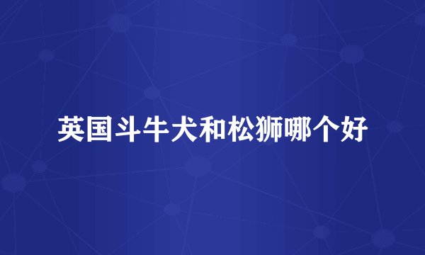 英国斗牛犬和松狮哪个好