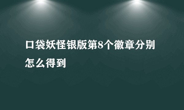 口袋妖怪银版第8个徽章分别怎么得到