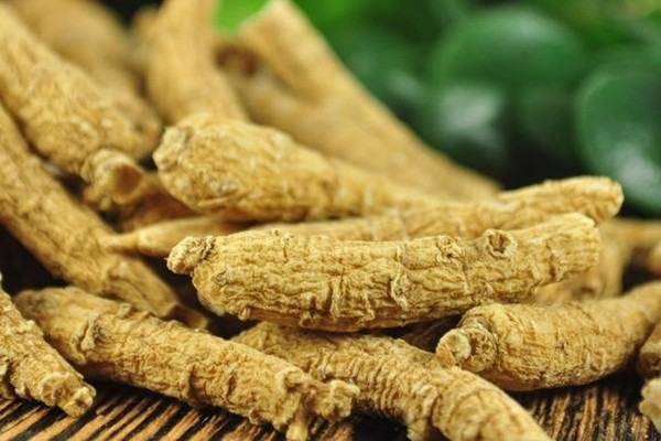 花旗参的功效与作用是什么？