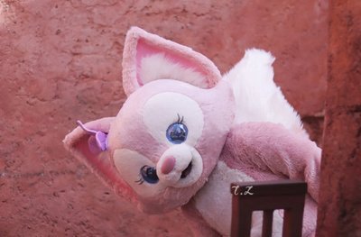 迪士尼申请玲娜贝儿商标,申请商标需符合哪些条件?