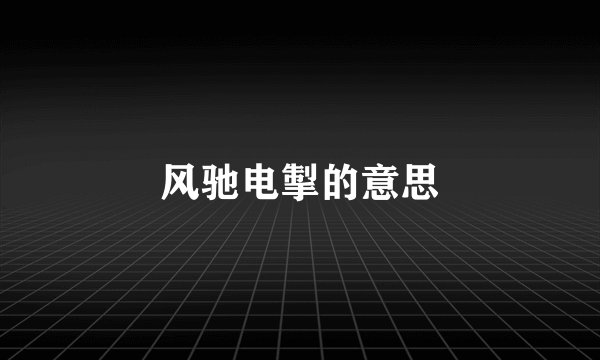 风驰电掣的意思